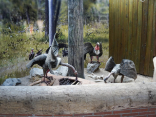 Alwetterzoo Münster Alwetterzoo Münster