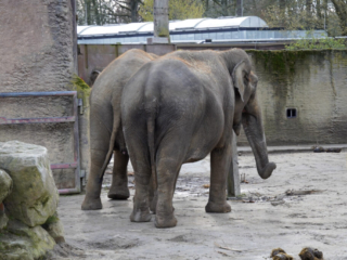 Alwetterzoo Münster Alwetterzoo Münster