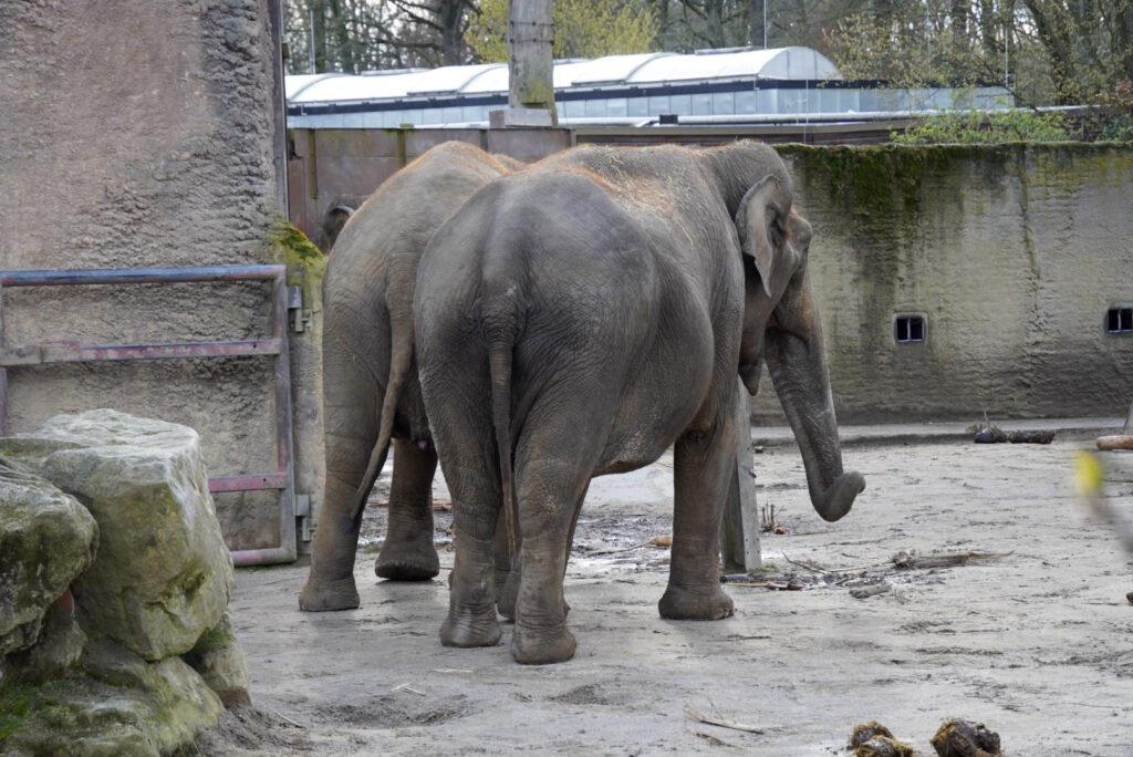 Alwetterzoo Münster Alwetterzoo Münster