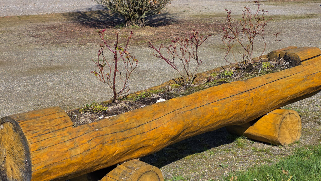 Br&uuml;ckenkopfpark J&uuml;lich
