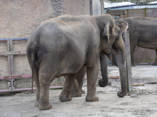 Alwetterzoo Münster Alwetterzoo Münster