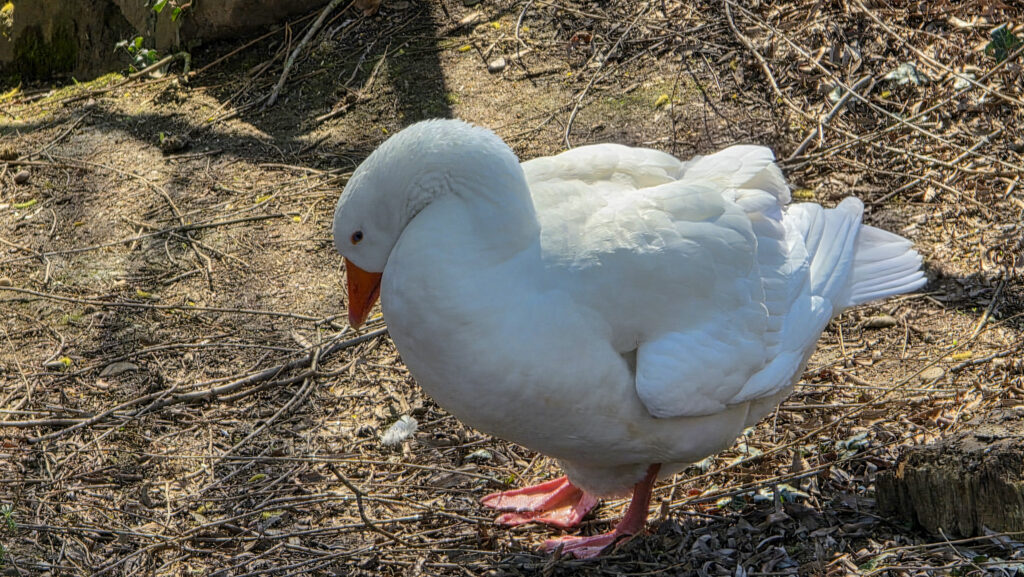 Br&uuml;ckenkopfpark J&uuml;lich