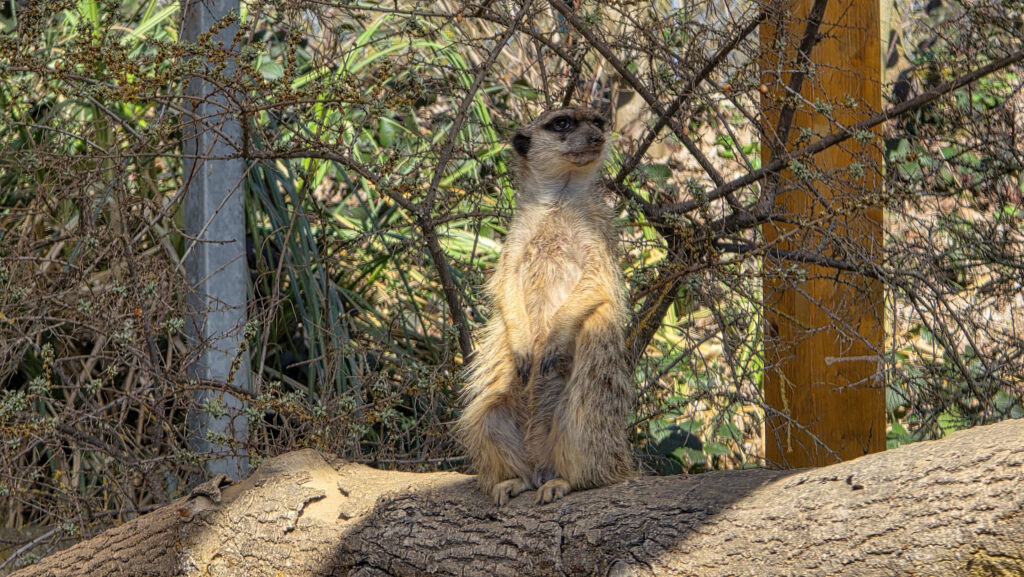 Br&uuml;ckenkopfpark J&uuml;lich