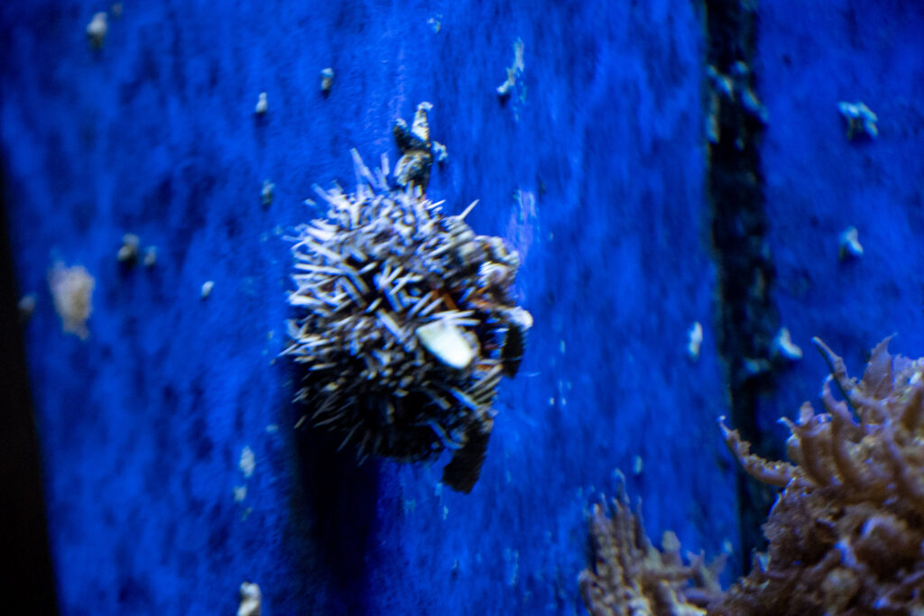 Aquazoo L&ouml;bbecke Museum D&uuml;sseldorf