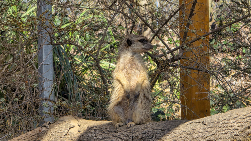 Br&uuml;ckenkopfpark J&uuml;lich