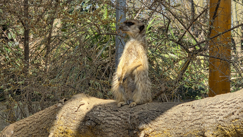 Br&uuml;ckenkopfpark J&uuml;lich