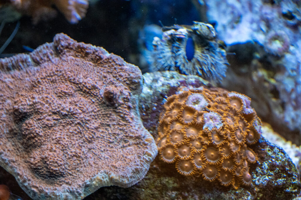Aquazoo L&ouml;bbecke Museum D&uuml;sseldorf