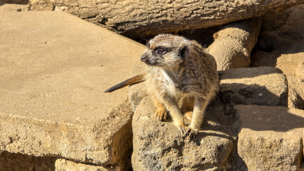 Br&uuml;ckenkopfpark J&uuml;lich