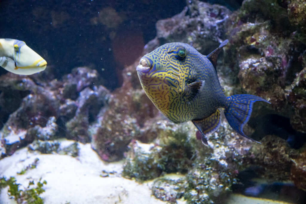 Aquazoo L&ouml;bbecke Museum D&uuml;sseldorf